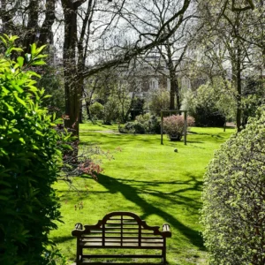 Chelsea London Neighbourhood